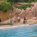 Zoo Amneville 028