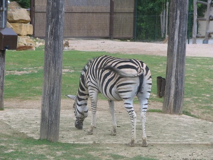 Zoo Amneville 004