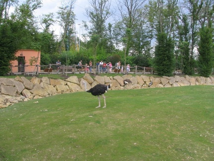 Zoo Amneville 005