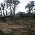 Zoo Amneville 014