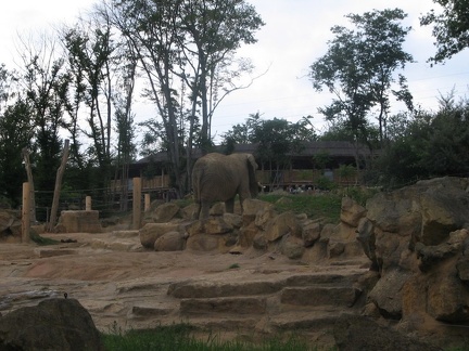 Zoo Amneville 014