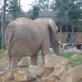 Zoo Amneville 015