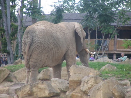 Zoo Amneville 015