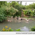 Zoo Amneville 019