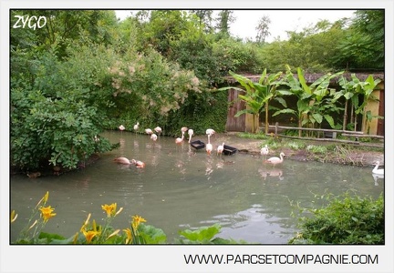 Zoo Amneville 019