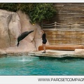Zoo Amneville 022