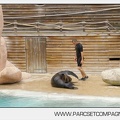 Zoo Amneville 049