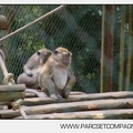 Zoo Amneville 002