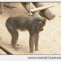 Zoo Amneville 011