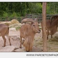 Zoo Amneville 026