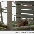 Zoo Amneville 008