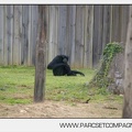 Zoo Amneville 008
