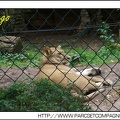 Zoo Amneville 017