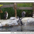 Zoo Amneville 032