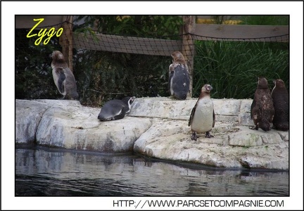 Zoo Amneville 033