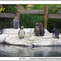 Zoo Amneville 034