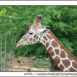 Zoo Amneville - Plaine africaine