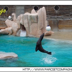 Zoo Amneville - Spectacle
