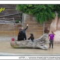 Zoo Amneville 091