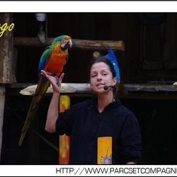Zoo Amneville - Spectacle - Perroquets