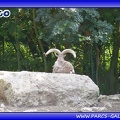 Zoo Mulhouse 006