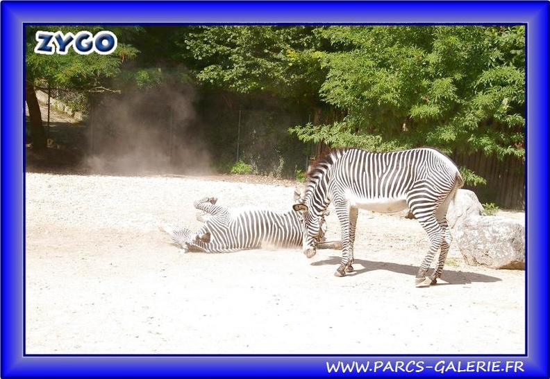 Zoo_Mulhouse_007.jpg