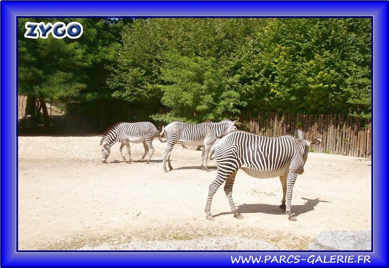 Zoo_Mulhouse_009.jpg