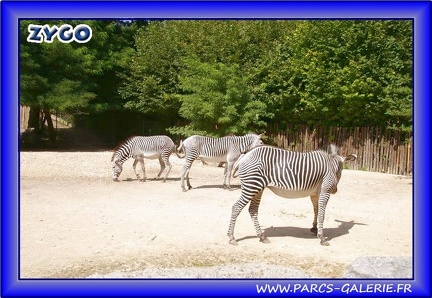 Zoo Mulhouse 009