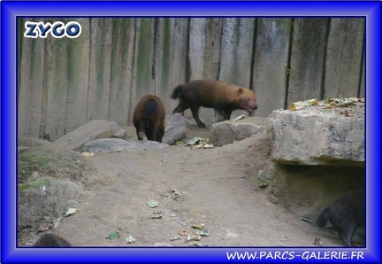 Zoo Mulhouse 010