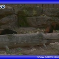 Zoo Mulhouse 012