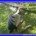 Zoo Mulhouse 027