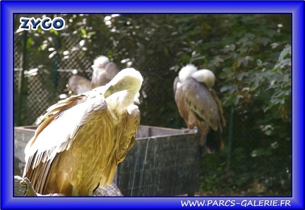 Zoo Mulhouse 031