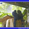 Zoo Mulhouse 033