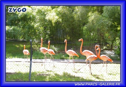Zoo Mulhouse 035