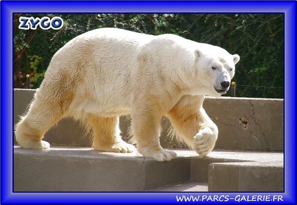 Zoo Mulhouse 019