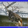 Zoo Mulhouse 037