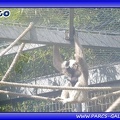 Zoo Mulhouse 056