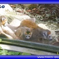 Zoo Mulhouse 058