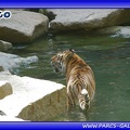 Zoo Mulhouse 001