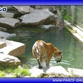 Zoo Mulhouse 003