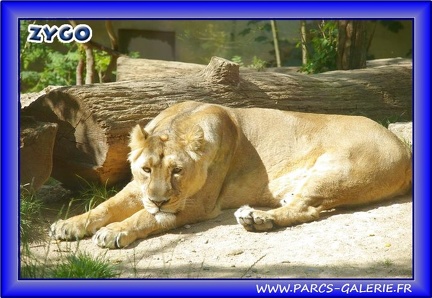 Zoo Mulhouse 008
