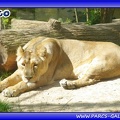 Zoo Mulhouse 009