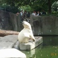 Zoo de Vincenne 011