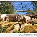 Zoo de la Barben 025