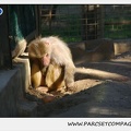 Zoo de la Barben 038