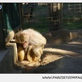 Zoo de la Barben 039