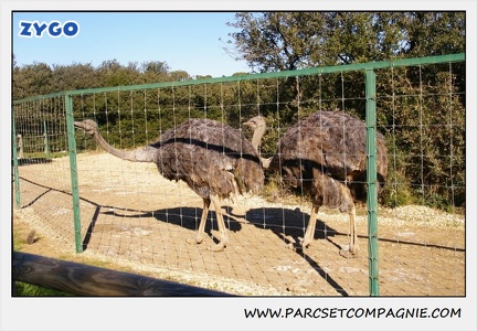 Zoo de la Barben 046