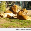 Zoo de la Barben 051