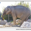 Zoo de la Barben 062