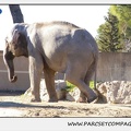 Zoo de la Barben 066